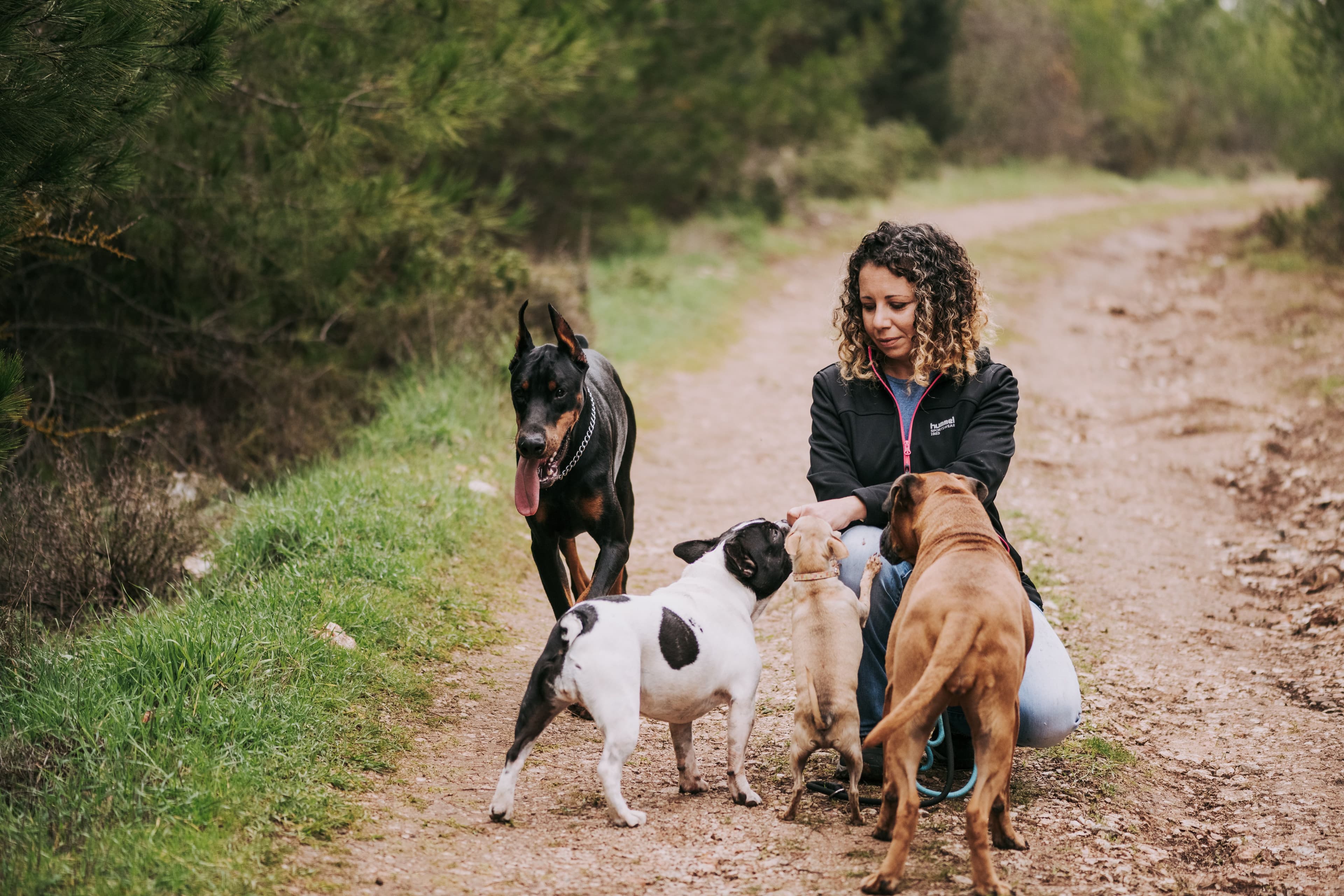 Saturday Pack Walk — dogs and owners together at a Haus Dogs event