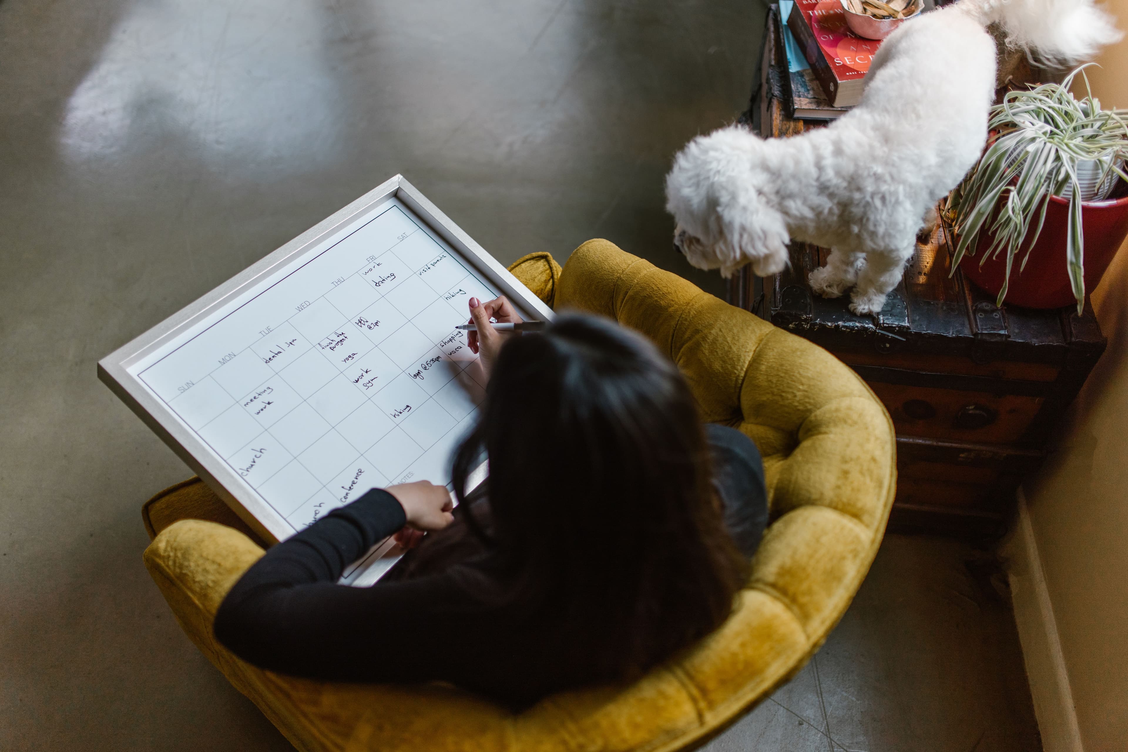What should I put in my booking notes? A sitter's honest list