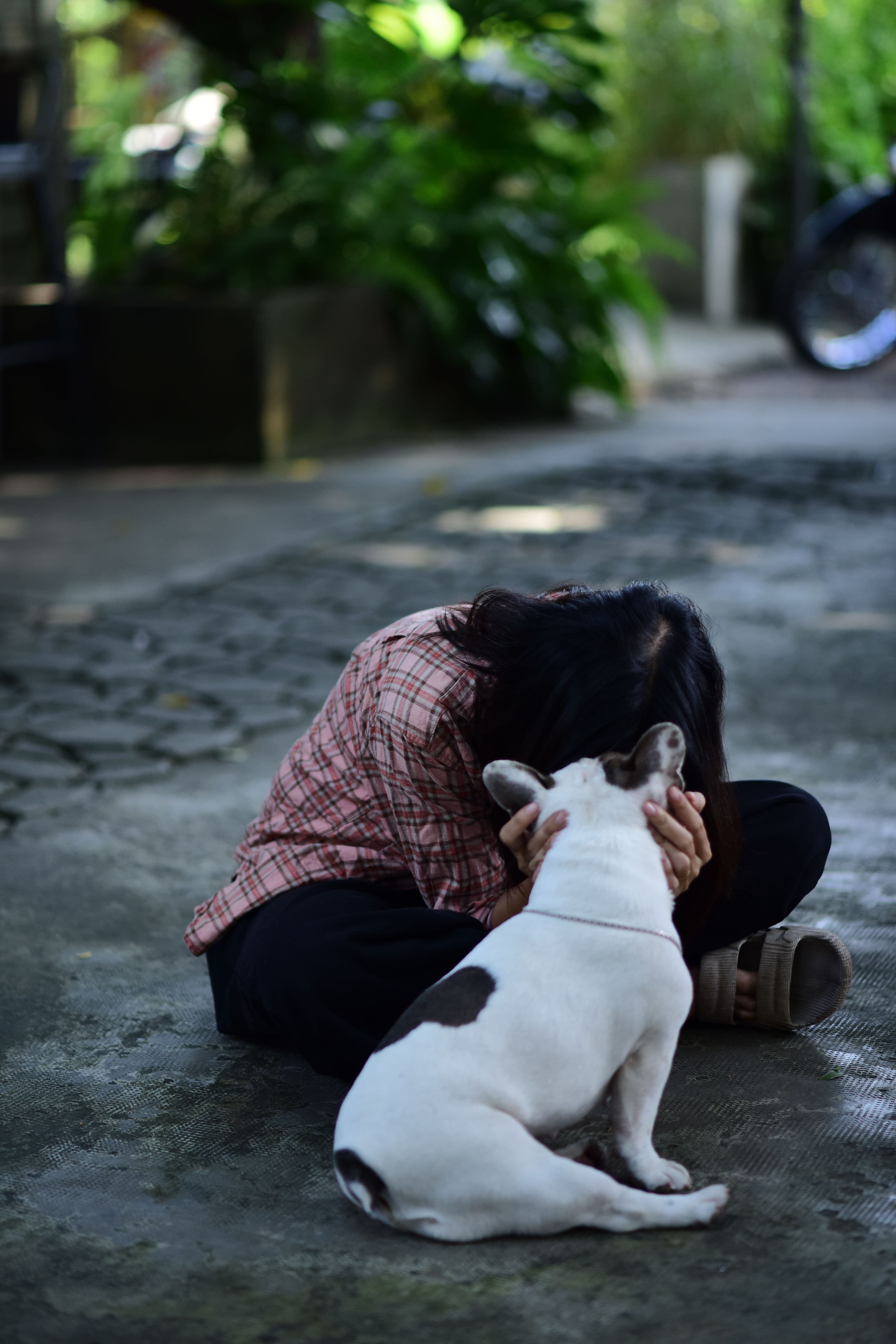 How do I know my dog is okay while I'm away?